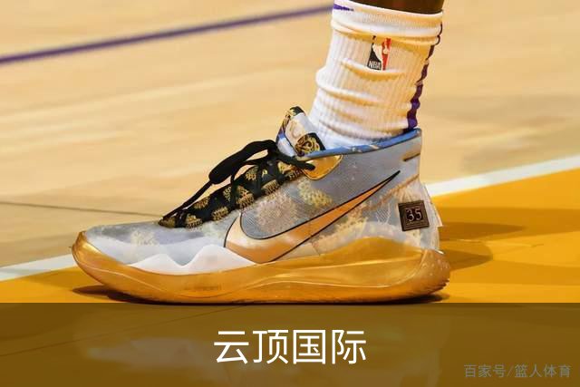 云顶国际 公司简介